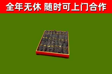 大邑回收海参